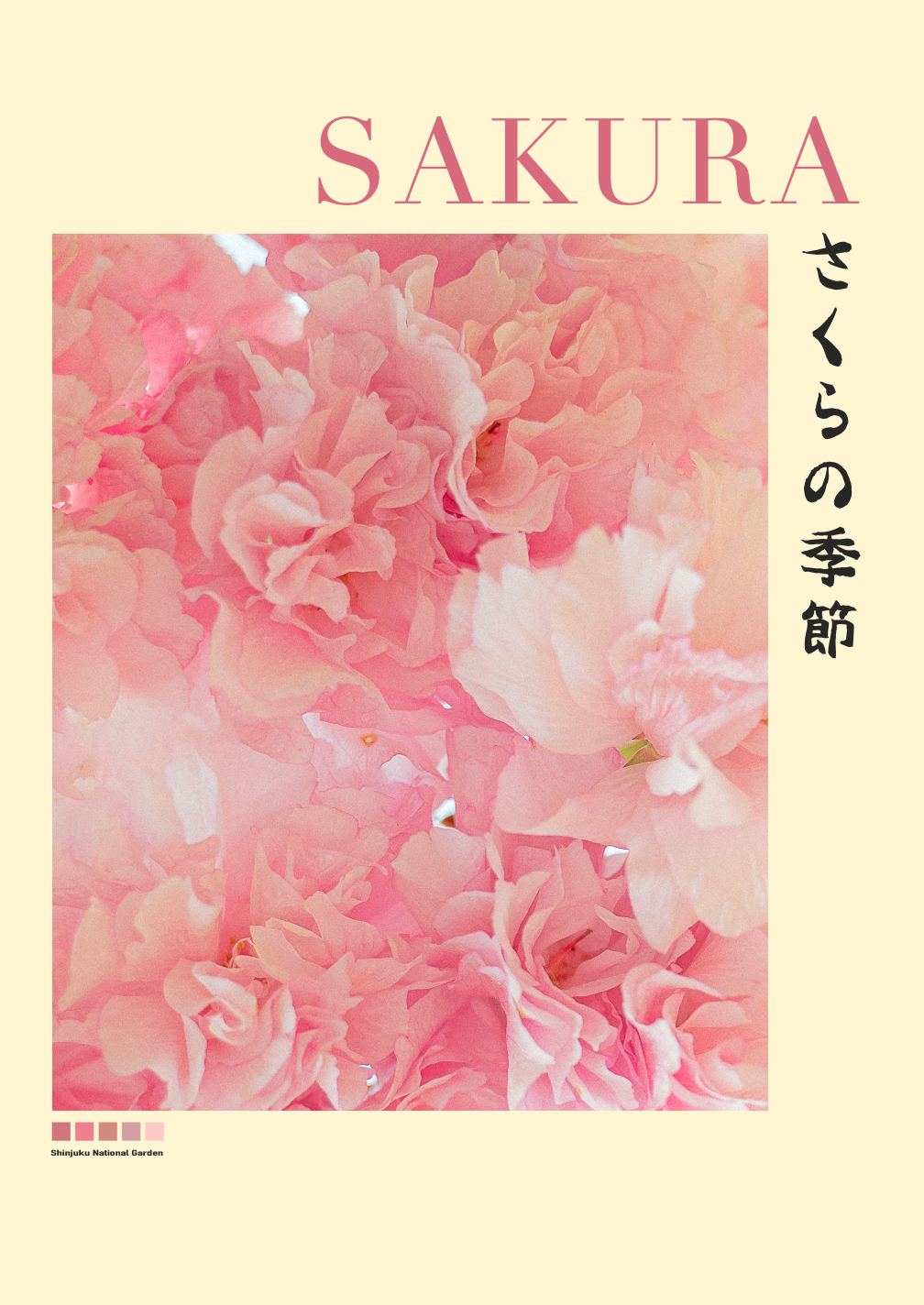 SAKURA