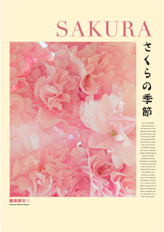 SAKURA
